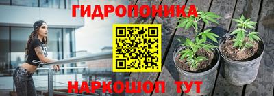 каннабис Бийск