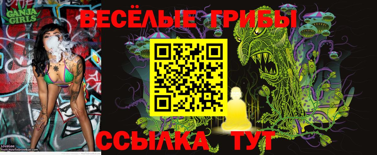 Кирово-Чепецк  Псилоцибиновые грибы Cubensis  Галлюциногенные грибы MAGIC MUSHROOMS  Вход с VPN 